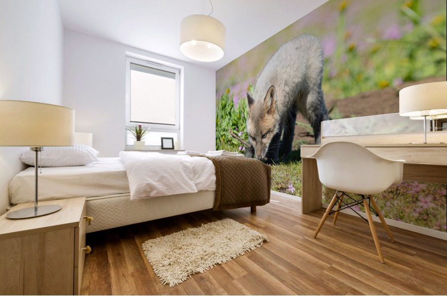 Red Fox Kit Mural print