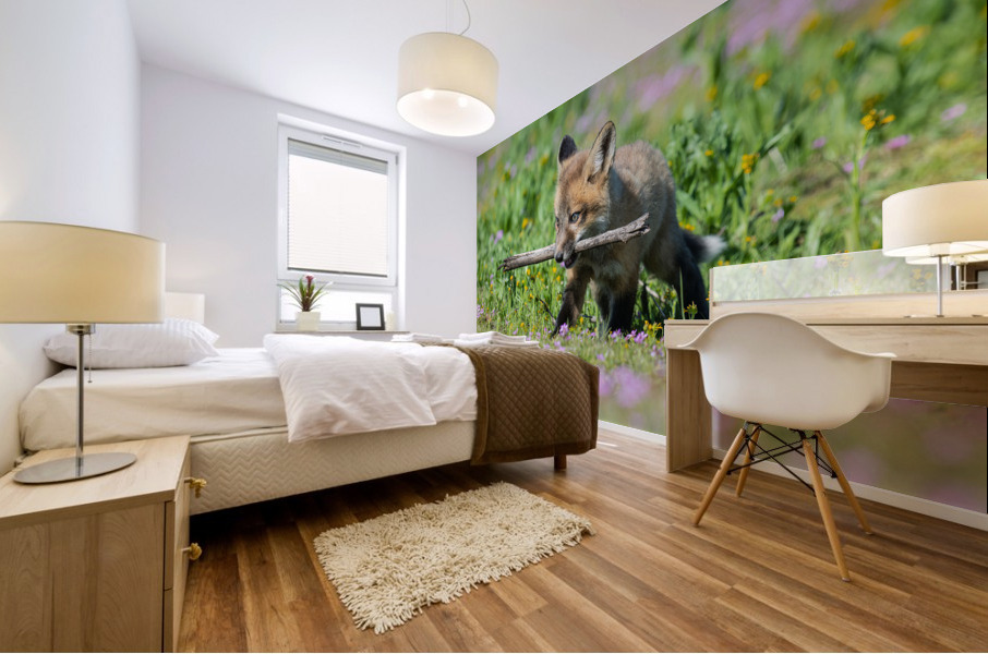Red Fox Kit Mural print