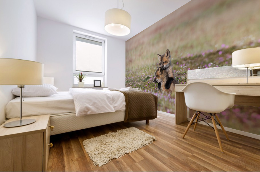 Red Fox Kits Mural print