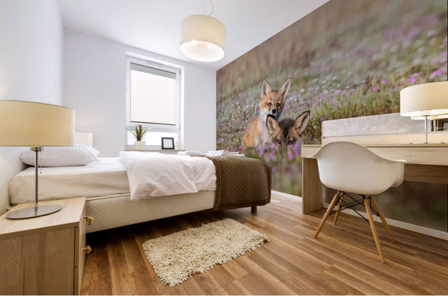 Red Fox Kits Mural print