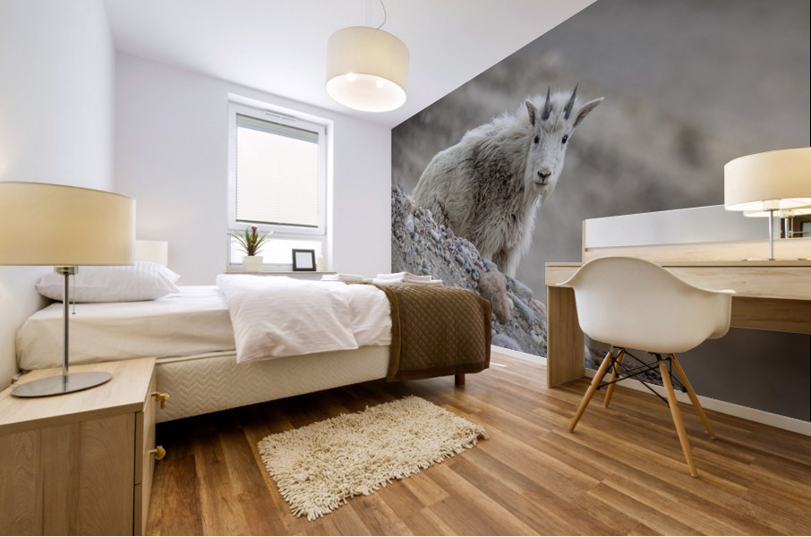 Mountain Goat Kid Mural print