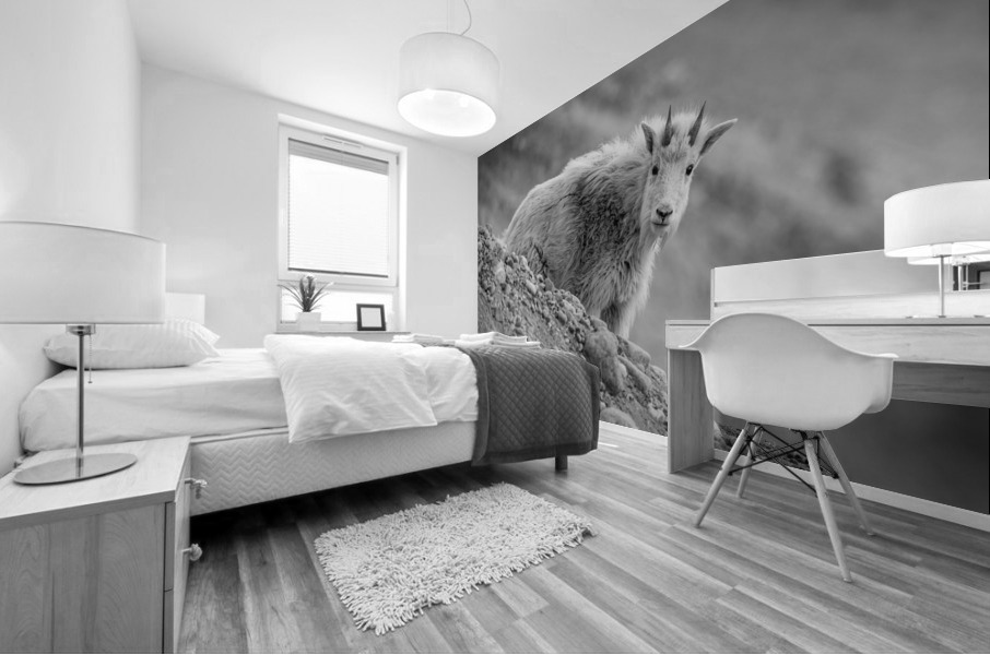 Mountain Goat Kid Mural print