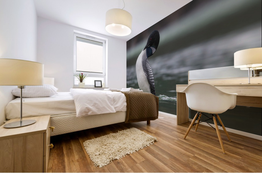 Common Loon Mural print