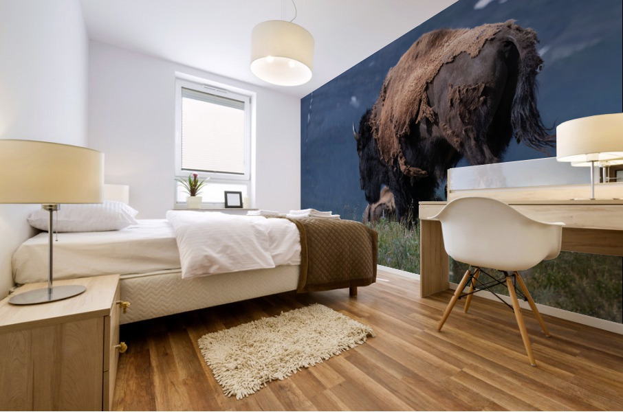 Male Bison Mural print