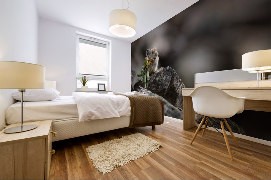 American Pika Mural print