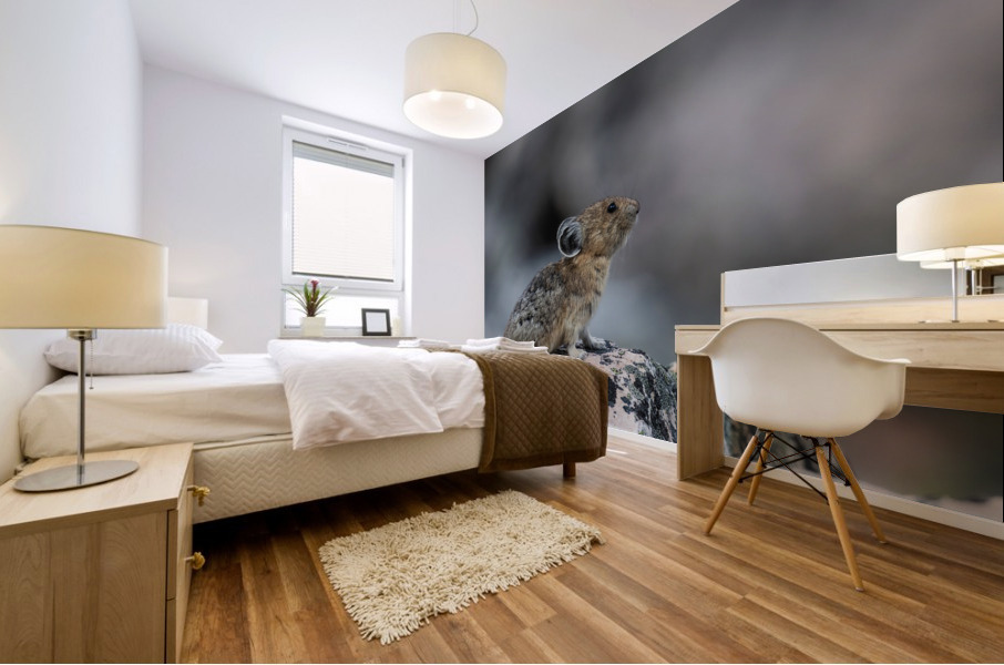 American Pika Mural print