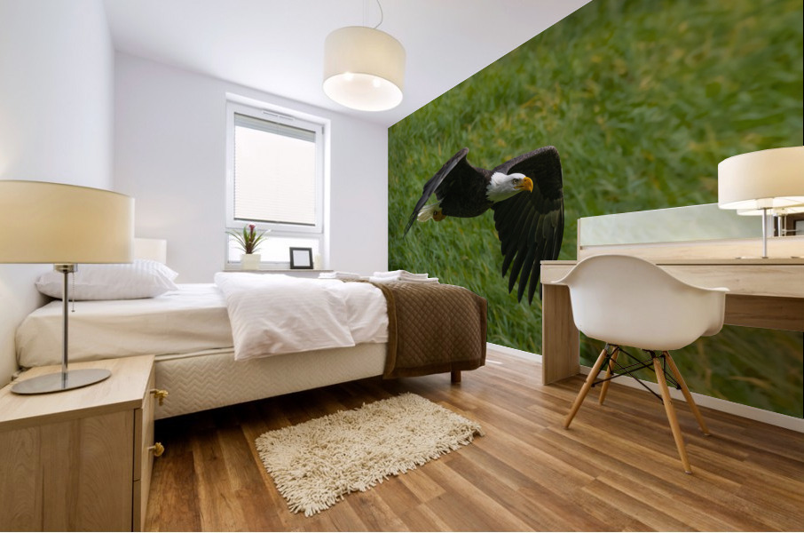 Bald Eagle Mural print