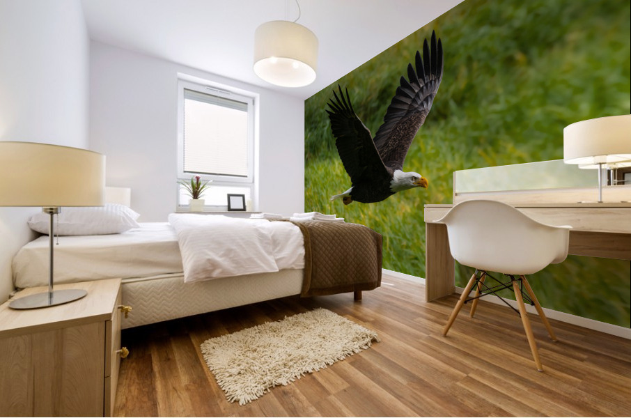 Bald Eagle Mural print