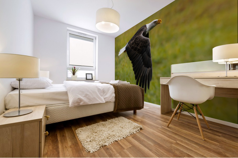 Bald Eagle Mural print