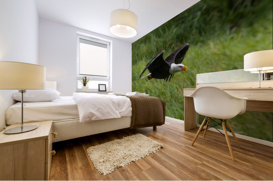 Bald Eagle Mural print