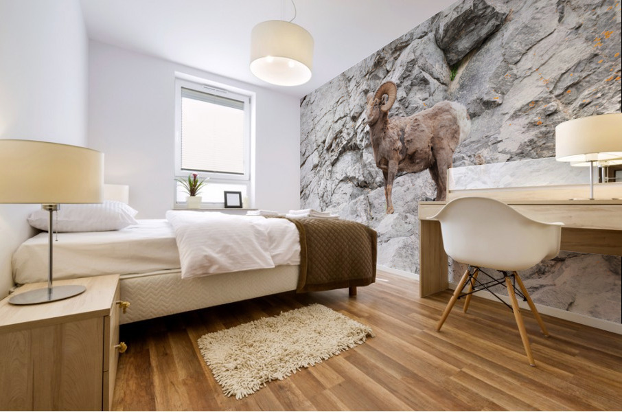Bighorn Ram Mural print