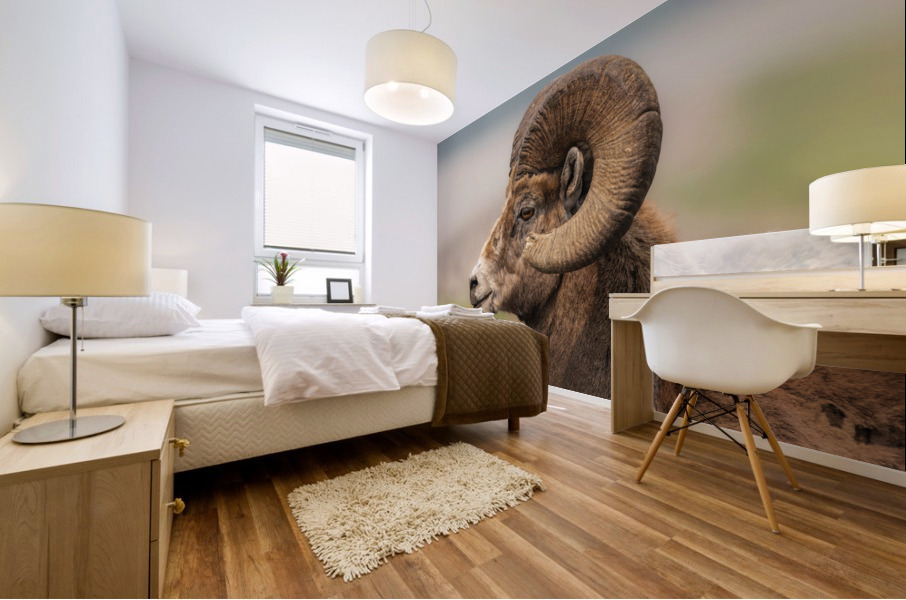 Bighorn Ram Mural print