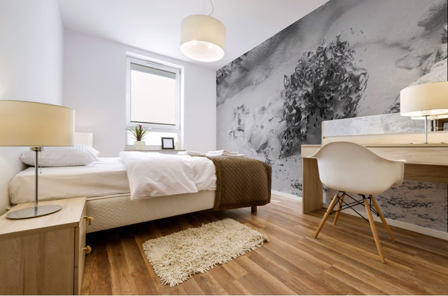 Thermal Mud Eruption Mural print