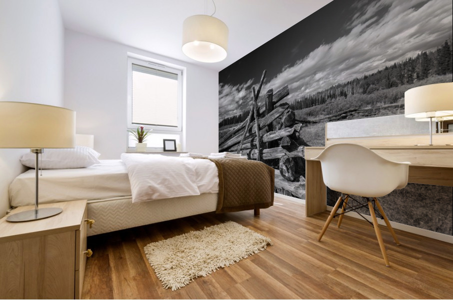 Old Fences Mural print