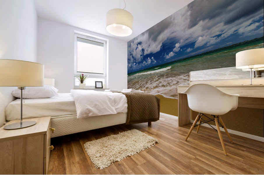 Tropical Shoreline Mural print