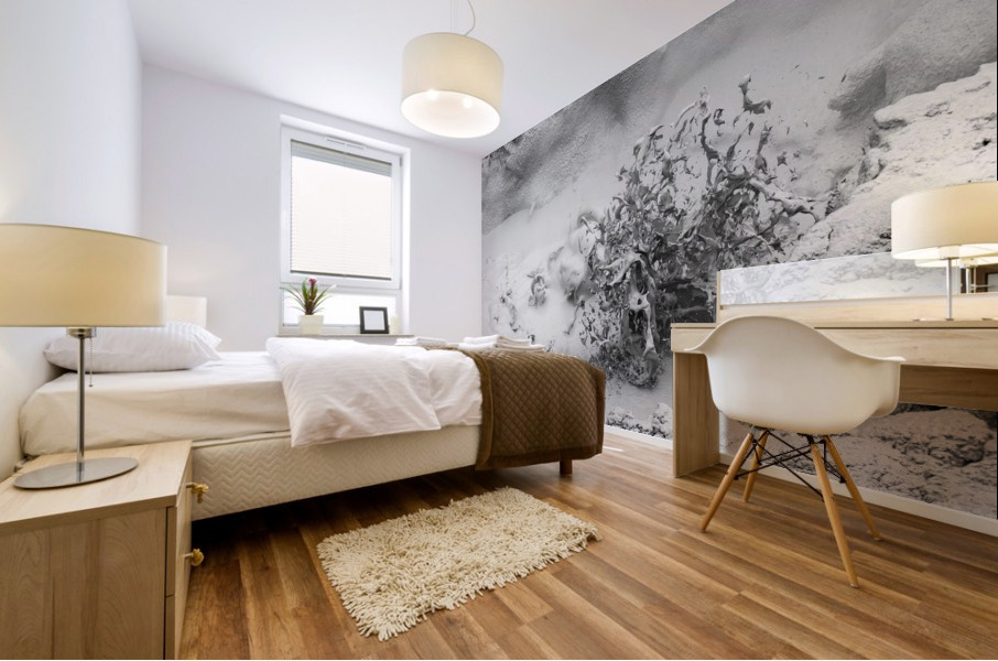 Thermal Mud Eruption Mural print