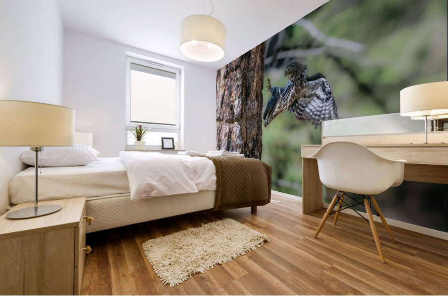 Northern Pygmy Owl Mural print