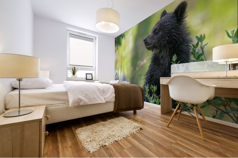 Grizzly Cub Mural print