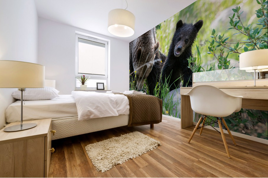Grizzly Cub Mural print