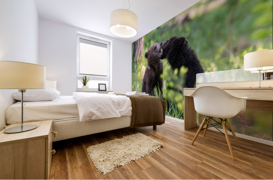 Grizzly Cubs Mural print