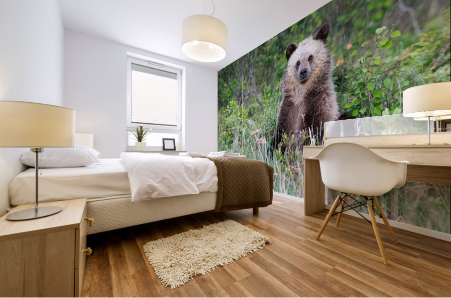 Grizzly Cub Mural print