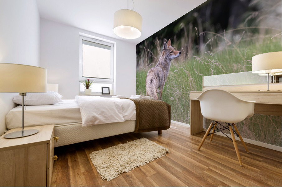 Coyote Mural print