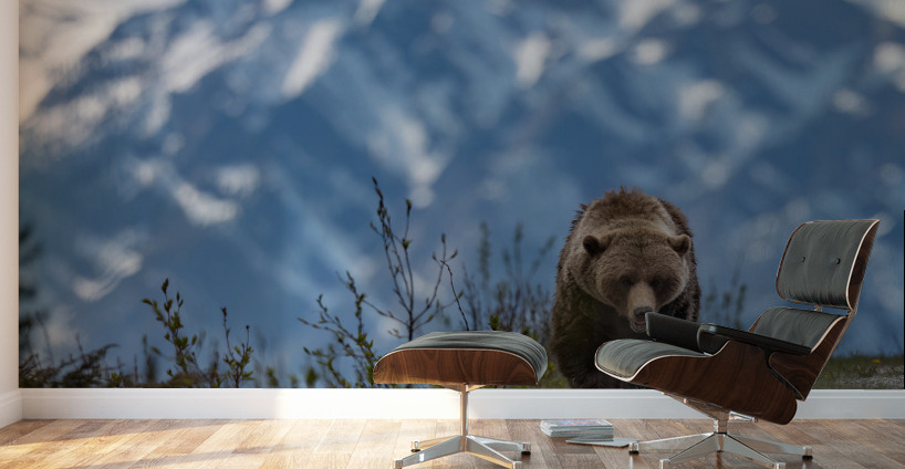 Grizzly Boar Wall Murals