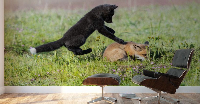 Red Fox Kits Wall Murals