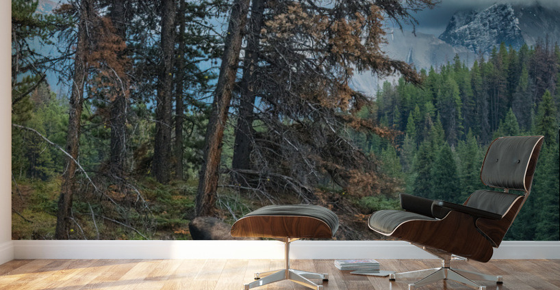 Bull Moose Wall Murals