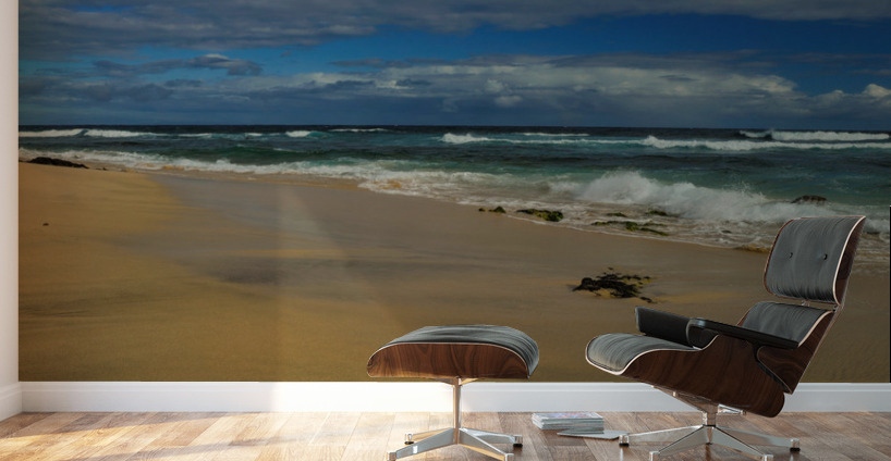 Tropical Shoreline Wall Murals