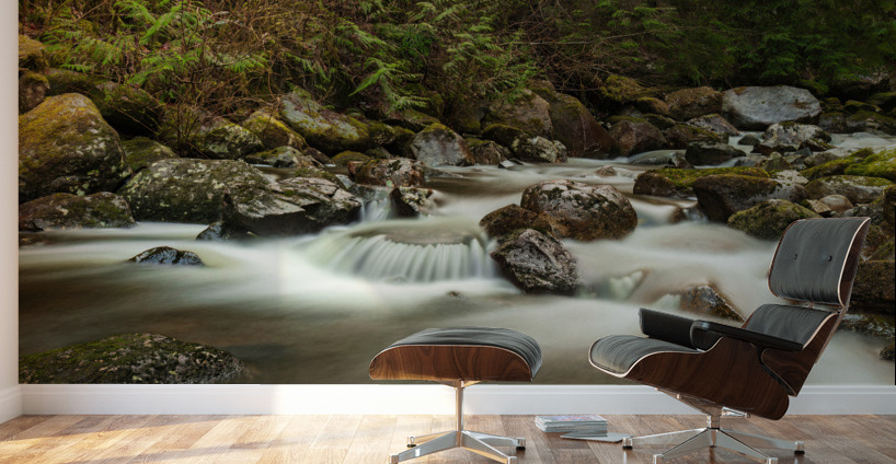 Forest Stream Wall Murals