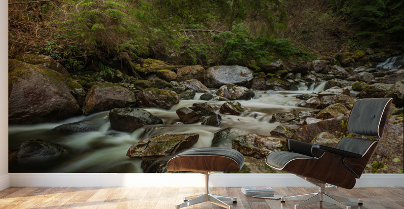 Forest Stream Wall Murals