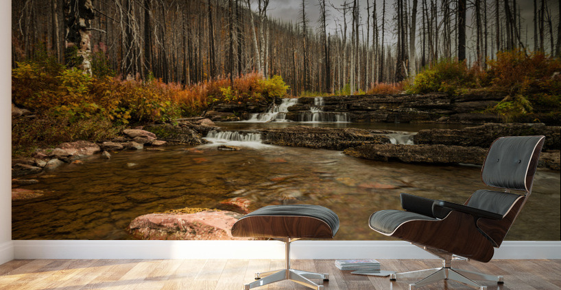 Mountain Stream Wall Murals