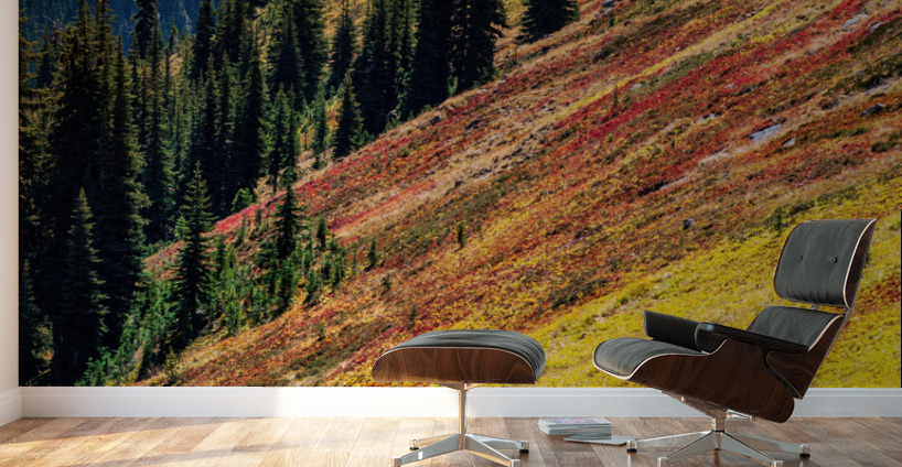 Mountain Wild Flowers Wall Murals