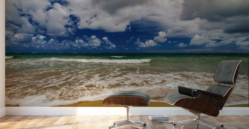 Tropical Shoreline Wall Murals