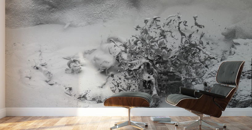 Thermal Mud Eruption Wall Murals