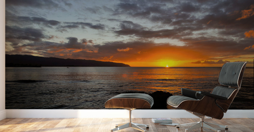 Tropical Sunset Wall Murals