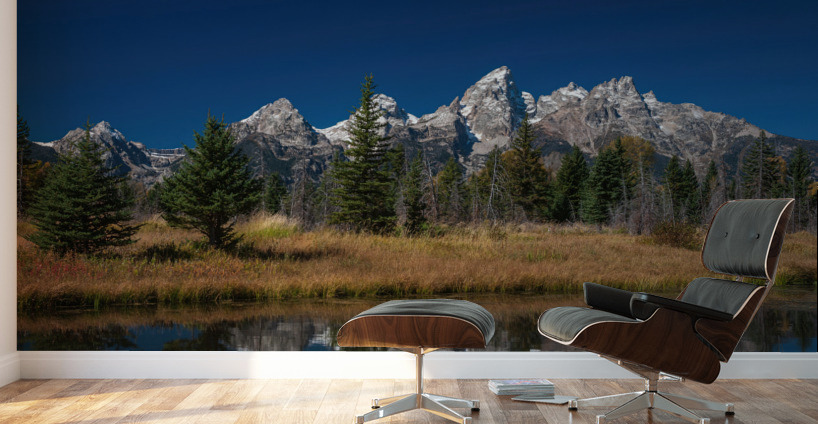 Grand Tetons Wyoming Wall Murals