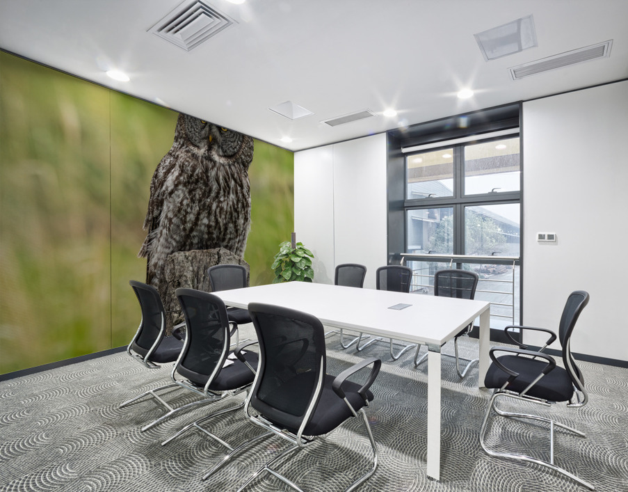 Great Gray Owl Wall Printing