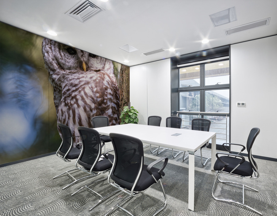 Barred Owl Wall Printing