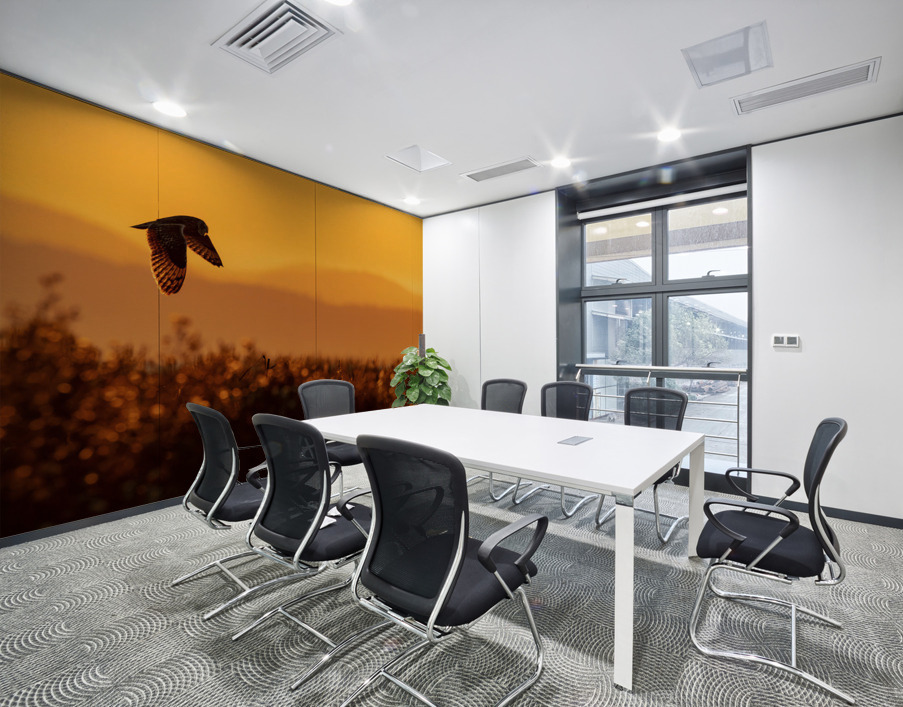 Short-eared Owl Wall Printing