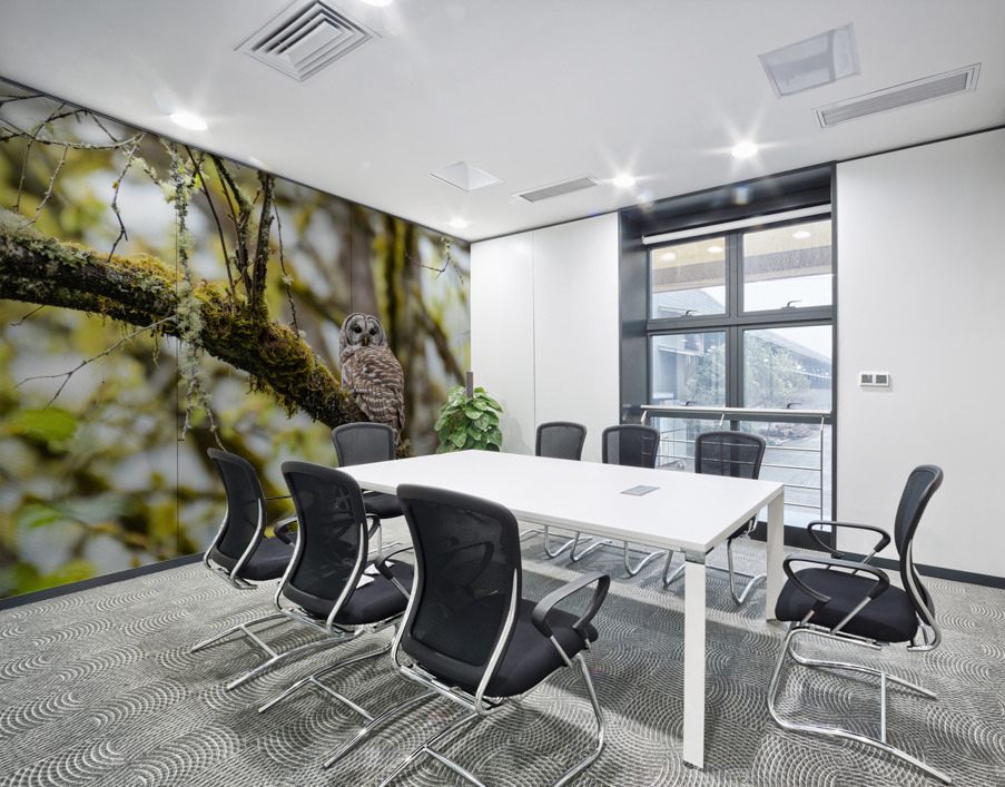 Barred Owl Wall Printing