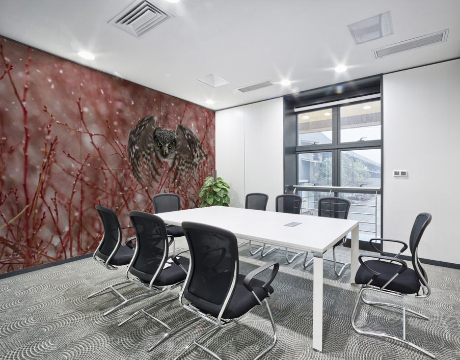 Northern Hawk Owl Wall Printing