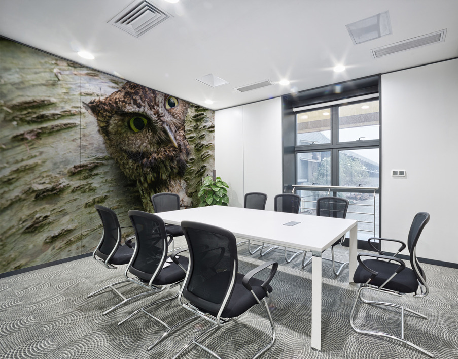 Western Screech Owl Wall Printing