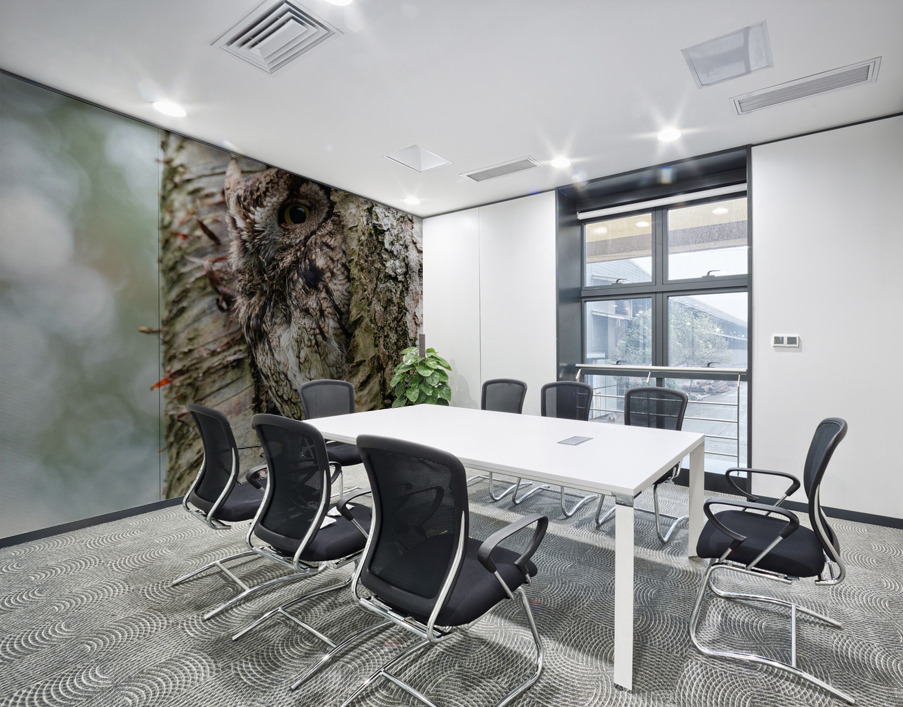 Western Screech Owl Wall Printing