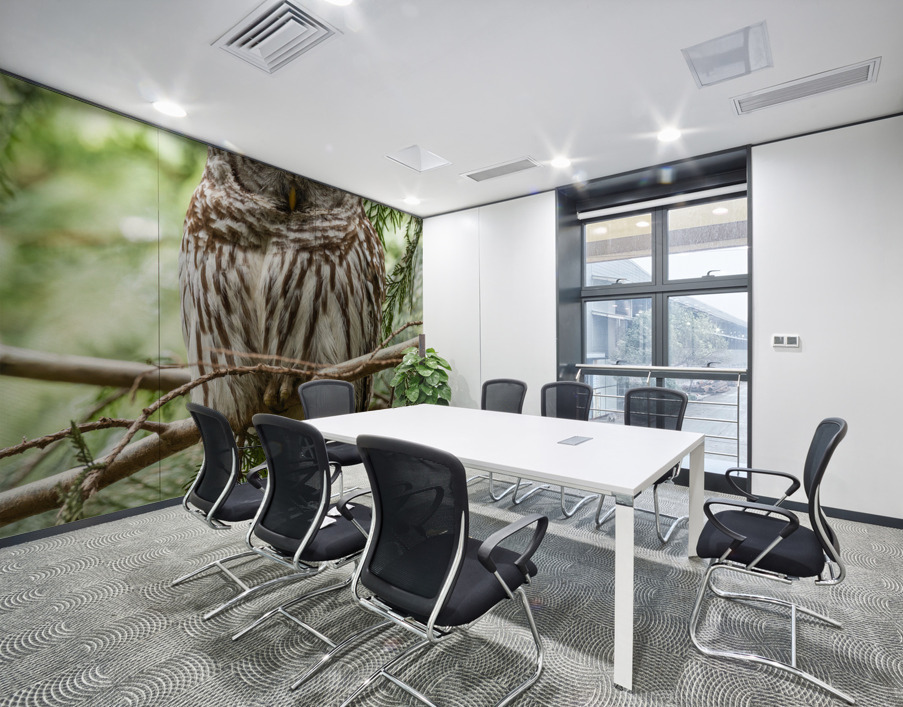 Barred Owl Wall Printing