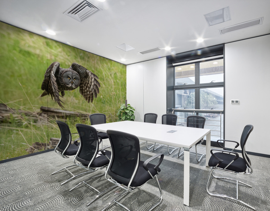 Great Gray Owl Wall Printing