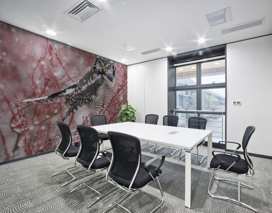 Northern Hawk Owl Wall Printing