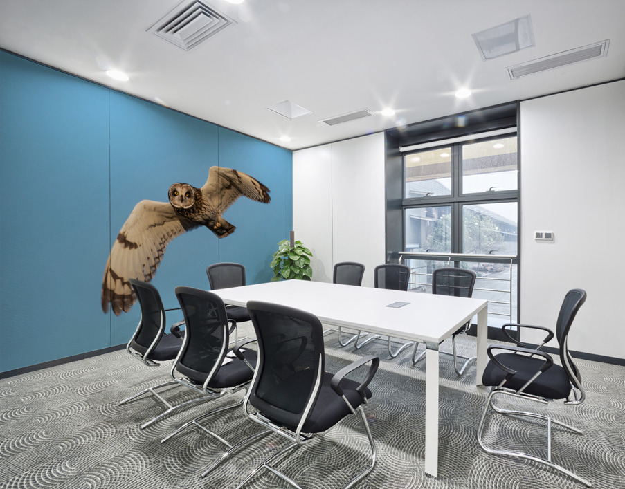 Short-eared Owl Wall Printing