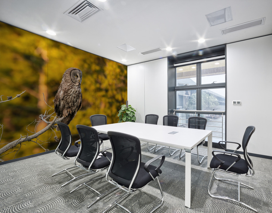 Great Gray Owl Wall Printing